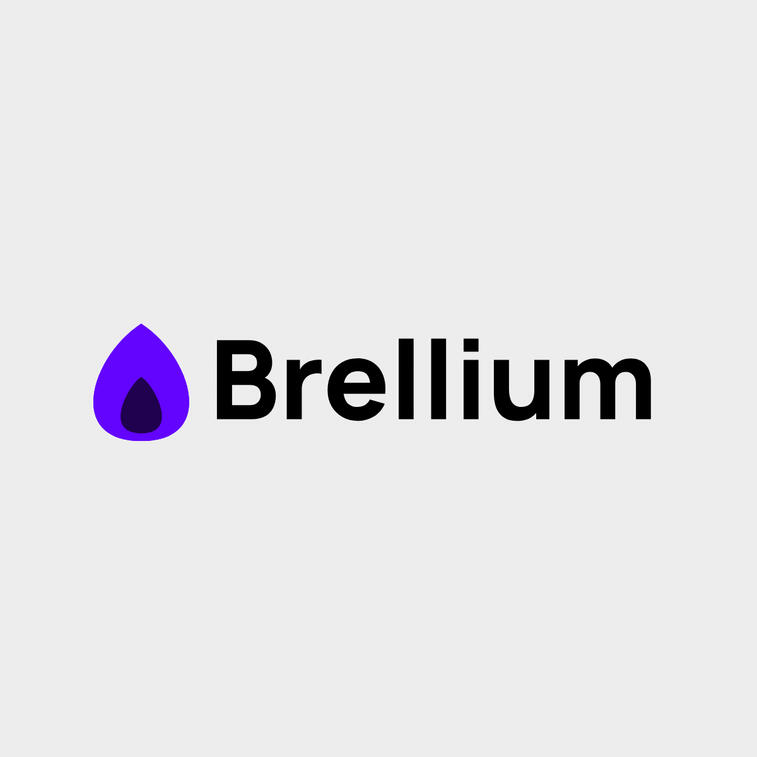 Brellium is an AI-powered clinical compliance platform that automates medical chart audits, ensuring accurate documentation and reducing administrative burdens for healthcare providers